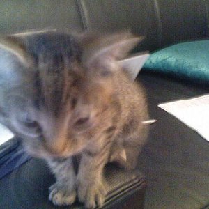 die ganze welt ist sooooooo interesant!