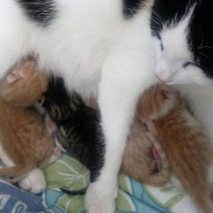 nochmals die Kleinen :D:D