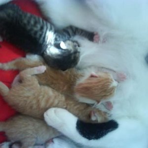 wieder bei der Milchbar =)