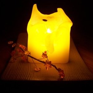 Liebe Loulou !

Seit genau einem Jahr bist du nicht mehr bei uns und wir denken immer noch jeden Tag an dich. 
Wir hoffen, dass der Weg über die Regenbogenbrücke  nicht zu schwer für dich war. Wir wissen, dass es dir jetzt dort oben gut geht und du nicht mehr leiden musst. 

Für immer wirst du ein Platz in unserem Herzen haben. 
Pass ein bisschen auf deine Dosis von da oben auf.....

Deine dich liebenen
Sandra + Ralf