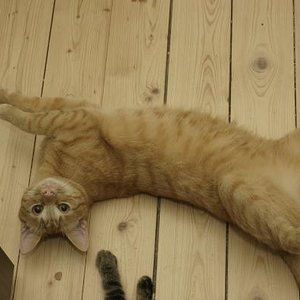 schön aufm Boden...