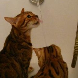 Beide in der Badewanne