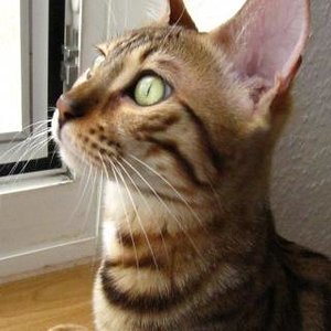 Escarda schaut so süß