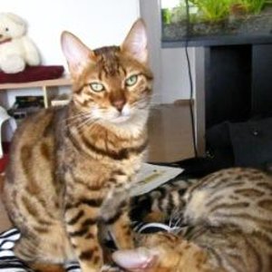 Beide auf der Couch beim Kuscheln