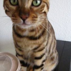 immer schön in die Kamera lächeln =)