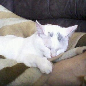 lili als sie noch jünger war!