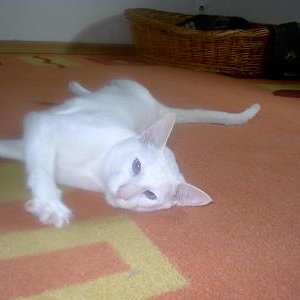 Jazzman, der Papa der beiden