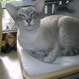 Cosima, die Mama von Keira