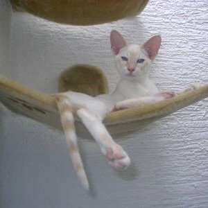 Aurora, die Mama von Micky