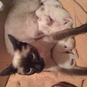 111958795 full,r,470x470 mia mit babys ganz enspannt