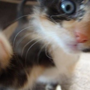 Kamara auf mich bitte...