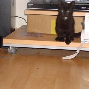 Justus will Wii spielen