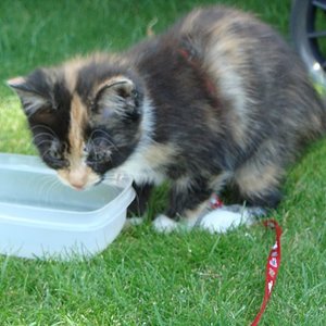 ein Schlückchen zwischendurch