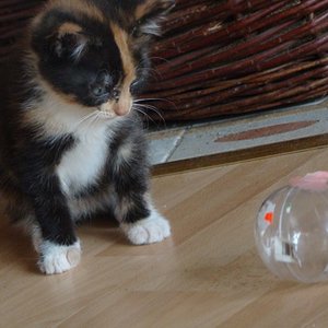 ich weiß genau wie süß ich bin...