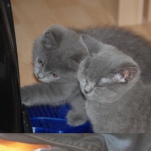 Paula und Josie mit 10 Monaten