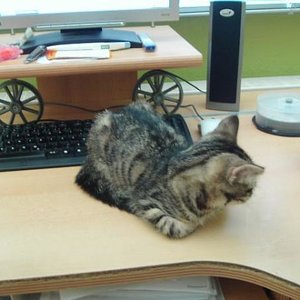 Gemütlicher Schreibtisch