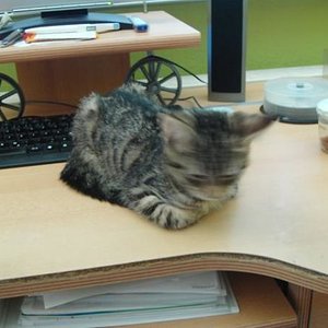 Ne, ich geh nich weg...