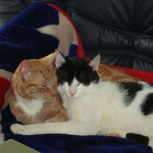 jetzt fühlen sie sich wieder wohl