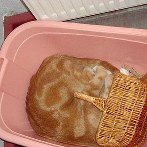 doc´s lieblings schlafplatz