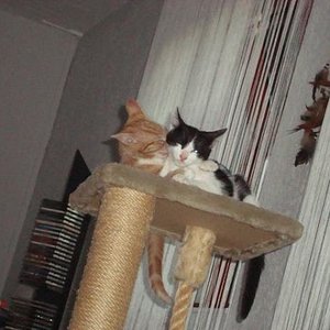 sie lieben sich schon immer