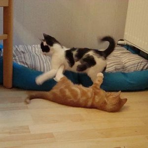 das erste mal ohne den rest