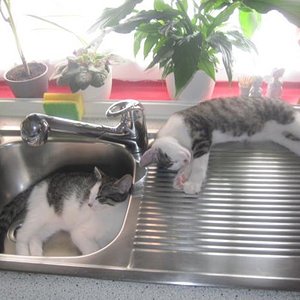 Neuester Lieblingsplatz