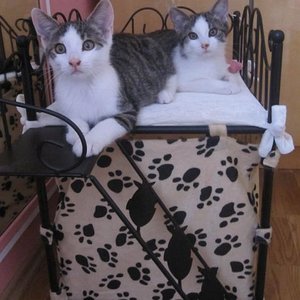 Auf unserem Thron - Balkon :)