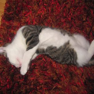 Da war ich so müde dass ich direkt auf dem Boden geblieben bin zum Schlafen :)