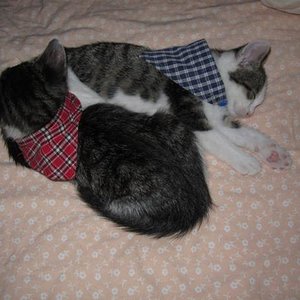 Nach dem Toben, geht nichts über ein gemeinsames Nickerchen :)