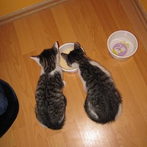 Das Wasser lassen wir eiskalt stehen - jawolll