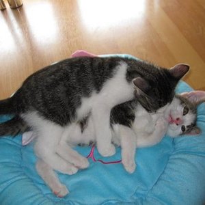 Schlafen?? Nicht mit mir :P