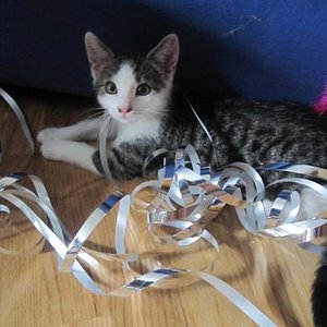 Hä? Was? Ich war das nicht :))