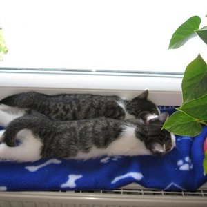 Spiegelbild?? Nein - wir sinds :)