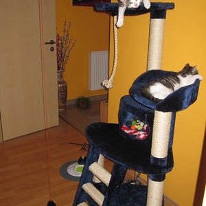 Das nennen wir Abhängen :)