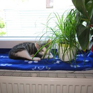 Du errätst nie wo ich bin...