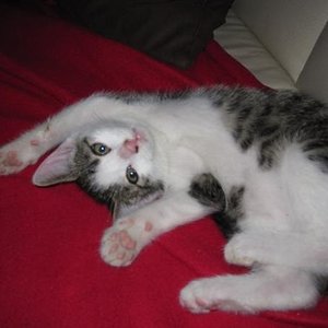 Krauleeeeen - worauf wartest du denn noch?!