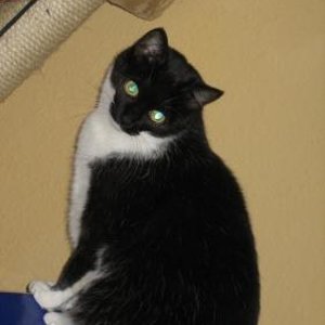 Felicitas, unser Wirbelwind