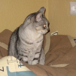 Denize, unser türkisches Mädchen