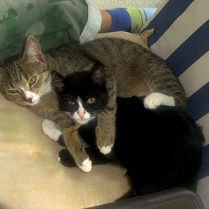 Luzie u. Thashi Balkon