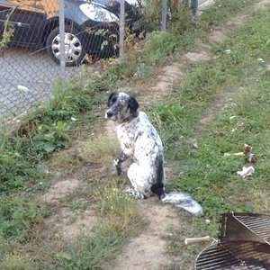 Er liebt Vögelchen zu schauen ;o)