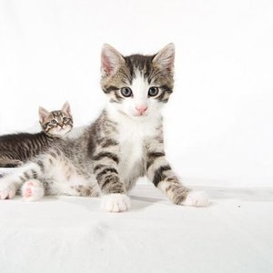 Pullover, Indianer
photographed by Pascal Bovet (http://www.pascalbovet.com/)