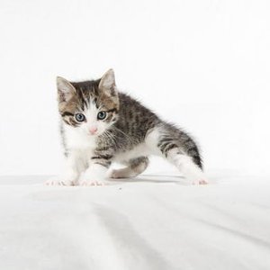 T-Shirt
photographed by Pascal Bovet (http://www.pascalbovet.com/)