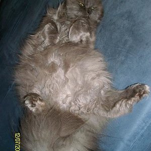 Nach getaner Arbeit kann ich mich auch mal ausruhen.