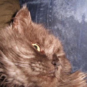 Bin ich nicht hübsch?