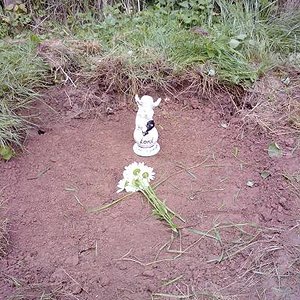 Lord seine letzte Ruhestätte am 29.07.2010 Ruhe in Frieden mein Schatz.