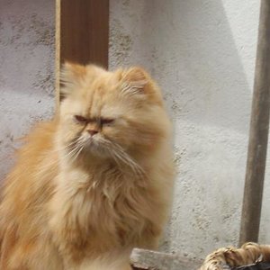 Seine Eminenz :Arthur