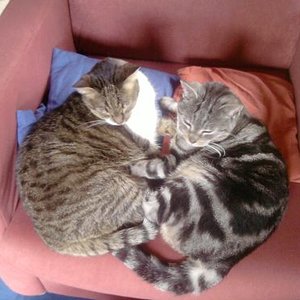 Meine beiden Süssen!