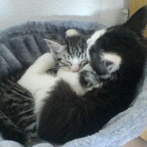 uns gibts nur im Doppelpack...