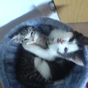 da waren sie noch klein.... :)