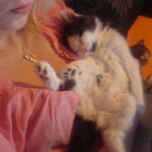 Hauptsache er liegt bequem...